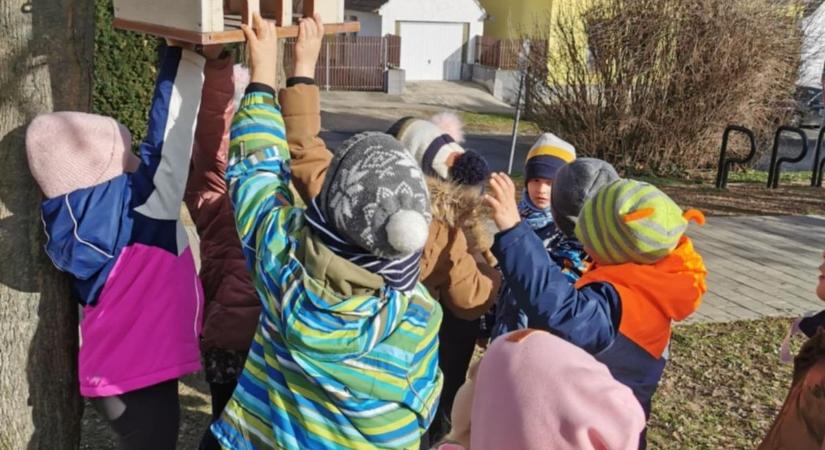 Ovisok gondoskodnak a madárkákról Fertőszéplakon