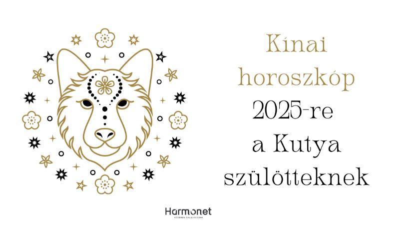 Kínai horoszkóp 2025-re a Kígyó évében: Kutya