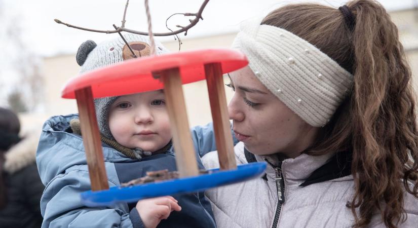 Madáretetés télen – sokan nagyon rosszul csinálják