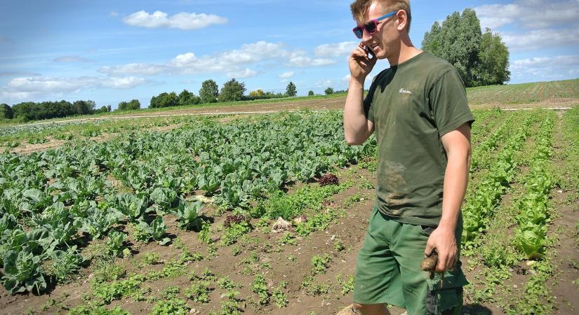 Online tájékoztató a szakirányú továbbképzésekkel kapcsolatban a Debreceni Egyetemen