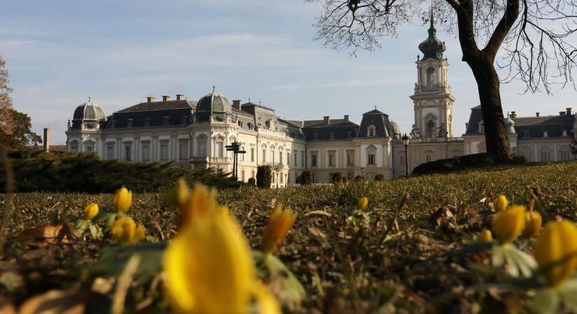 Mesés virágszőnyeg a kastélyparkban