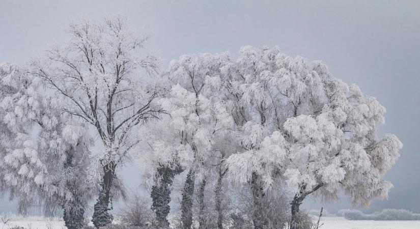 Közeleg a fordulat: akár mínusz 10 fokot és havazást is jósolnak a meteorológusok a jövő hétre