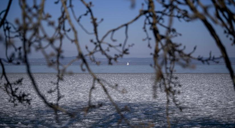 Kinek kell kiszedegetni a döglött halakat a Balaton partjáról? Most megtudhatja