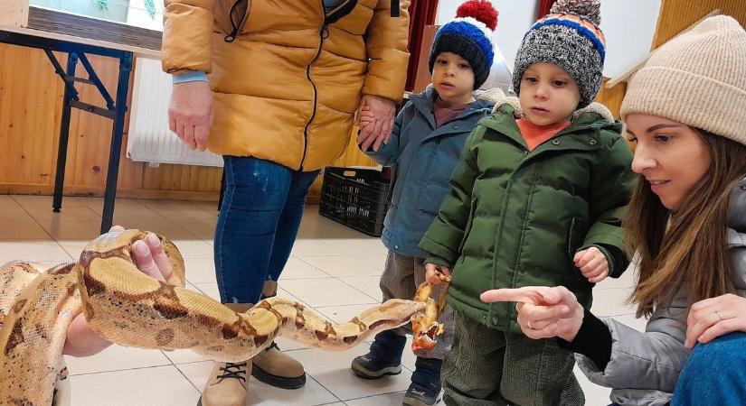 Ijesztő hüllőket láttak a napokban Tiszafüreden