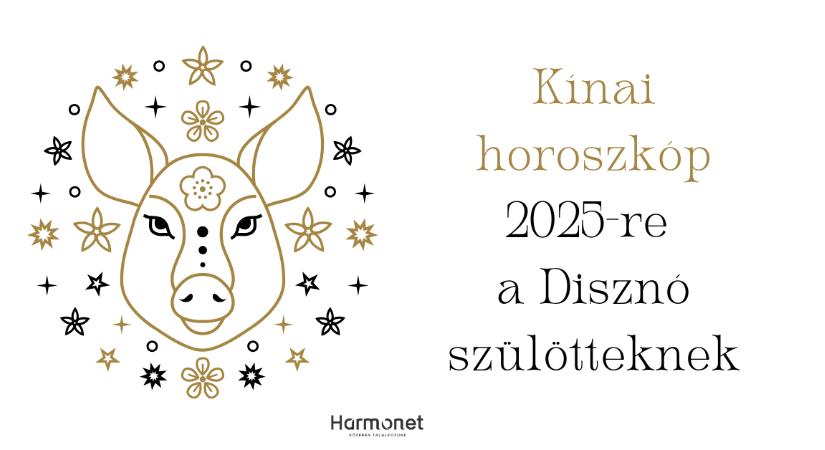 Kínai horoszkóp 2025-re a Kígyó évében: Disznó