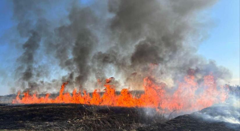 Lángol a nádas Horgosnál az autópálya mellett