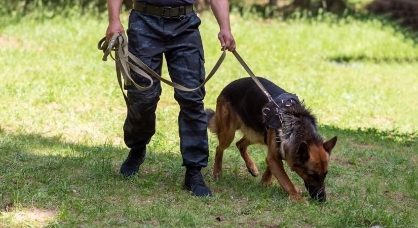 Merre vagy, Ákos? Napok óta nem adott életjelet magáról a Szegeden eltűnt fiatalember