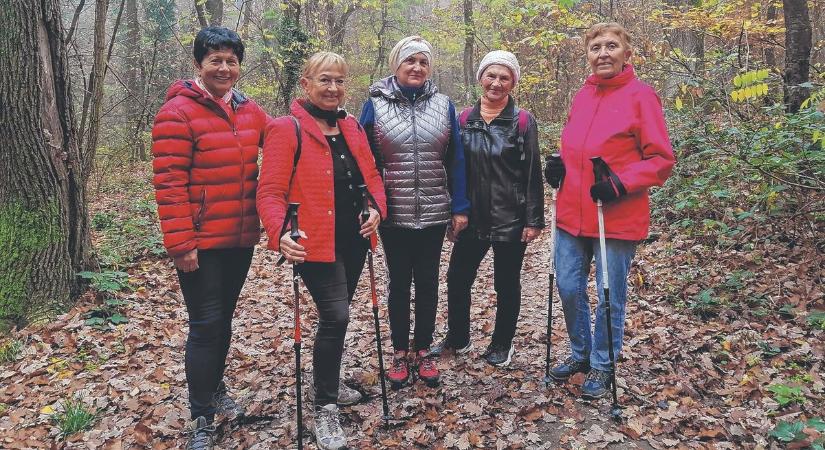 Szeniortúra indul a soproni erdőkben kedden