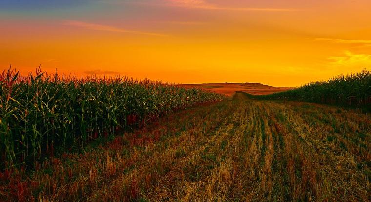 Az agrárkamara ingyenes pályázatírással segíti a kisüzemi beruházást tervező tagjait