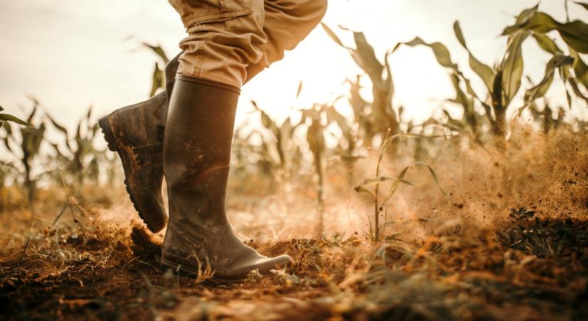 Ijesztő hír az időjárásról – ezt már nem lehet ledolgozni