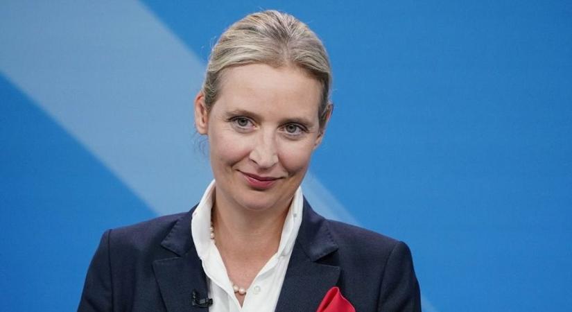 Alice Weidel szerint Merz tűzfala káros Németországnak