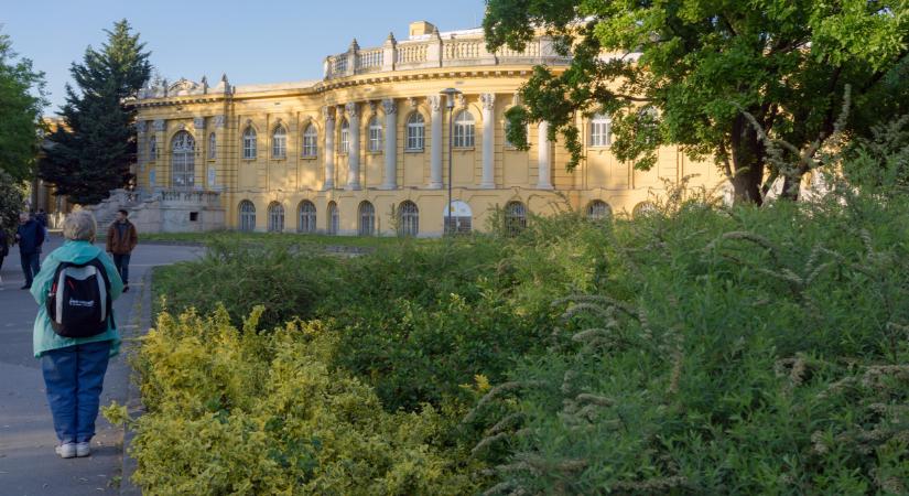 Ennek minden fővárosi örülhet: olcsóbbak lehetnek a belépők a legnépszerűbb fürdőkbe