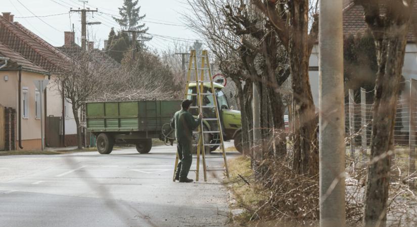 Felkészítik a tavaszra a nagyatádi fákat