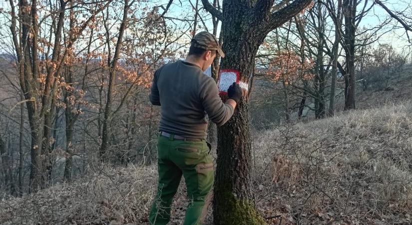 Tüntetnek az állami erdészet alkalmazottai, mert „lejárató hadjáratot” folytat ellenük a miniszter