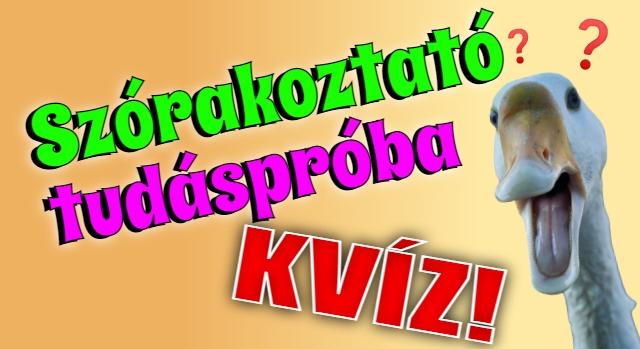 Szórakoztató kvíz: Humoros kérdések a nagyvilágból. Sikerül hibátlanra teljesíteni?