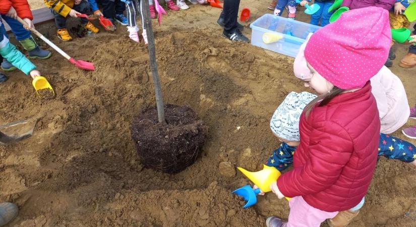 Magyarország ültet! – még mindig csatlakozhatsz a Nemzeti Faültetés Napjához