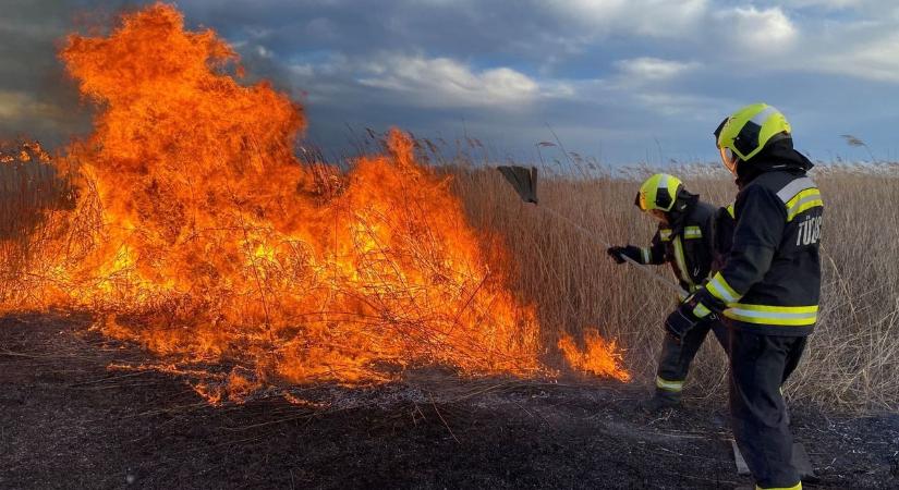 Hatalmas lángokkal harcoltak a tűzoltók Hartán