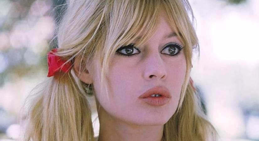 Brigitte Bardot 90 évesen is bájos – Így néz ki most a francia díva