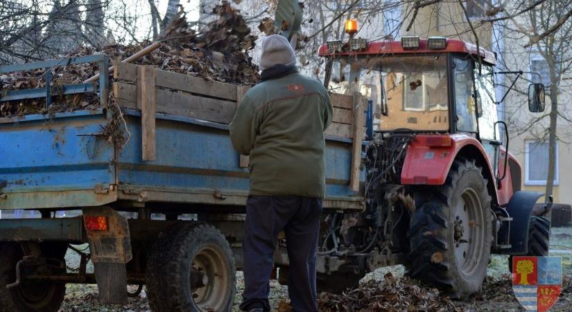 Vissza a körforgásba! – Komposztálás Vásárosnaményban