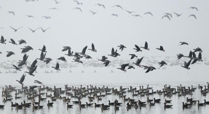 Olyan fordulat jön a hétvégi időjárásban, aminek senki nem fog örülni