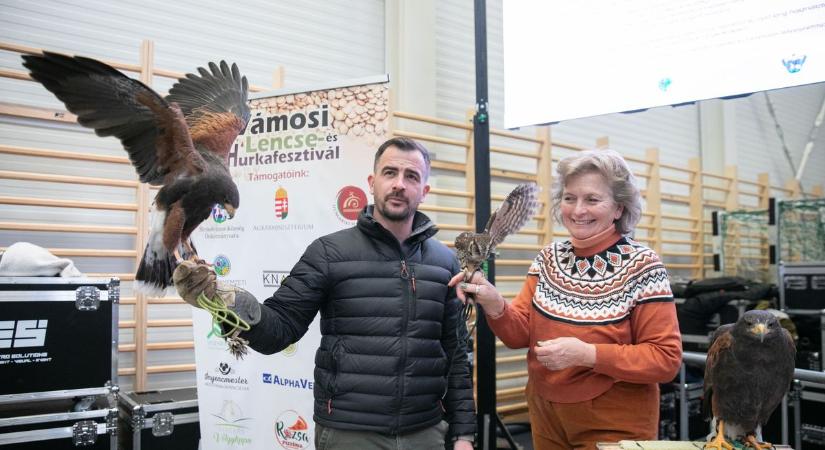 A solymászat élő hagyománya – Egy ősi mesterség napjainkban