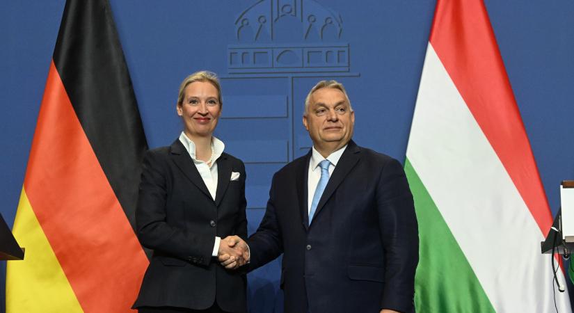 Milyen AfD-t tekint példaképnek Orbán?