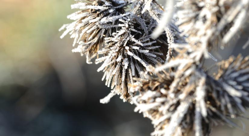 Brutál lehüléssel rúgja ránk az ajtót a hétvége: -10 fok lesz, ez tényleg fájni fog