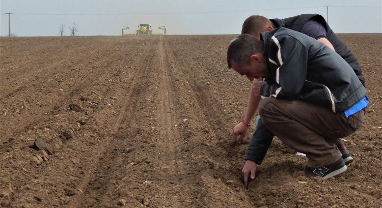 Pályázati csúcsüzem várható idén az agráriumban