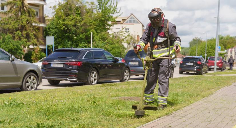 Veszélybe került a 2025-ös városüzemeltetési feladatok ellátása