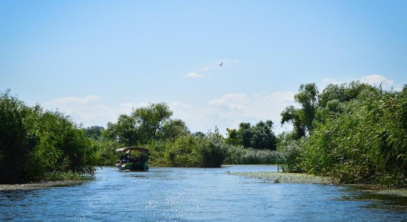 A Tisza-tó lenyűgöző története: hogyan lett egy víztározóból az élővilág paradicsoma?