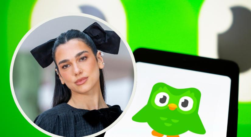 Dua Lipa gyászol: nem bírja feldolgozni a Duolingo-bagoly halálát