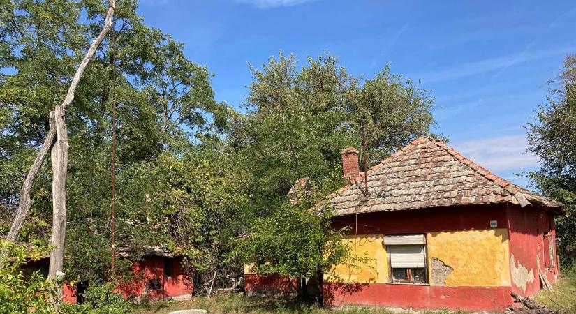 Elhagyatott tanyára bukkantak Csongrádon, hihetetlen, amit a házban láttak