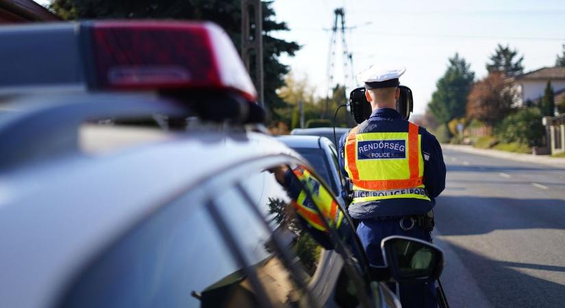 Eltűnt marhát keres a dunaújvárosi rendőrség