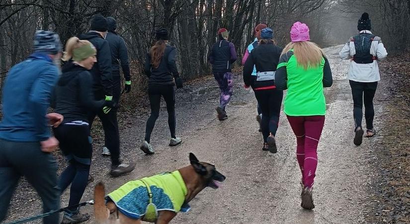 Edzésre fel, irány a Majális-Park!