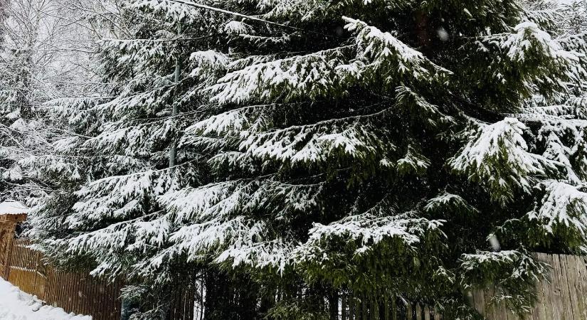 Előrejelzés: hó, hideg és szél várható