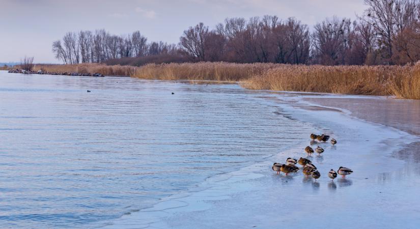 Nagyon más arcát mutatja most a magyar tenger: elkezdhet befagyni a Balaton?