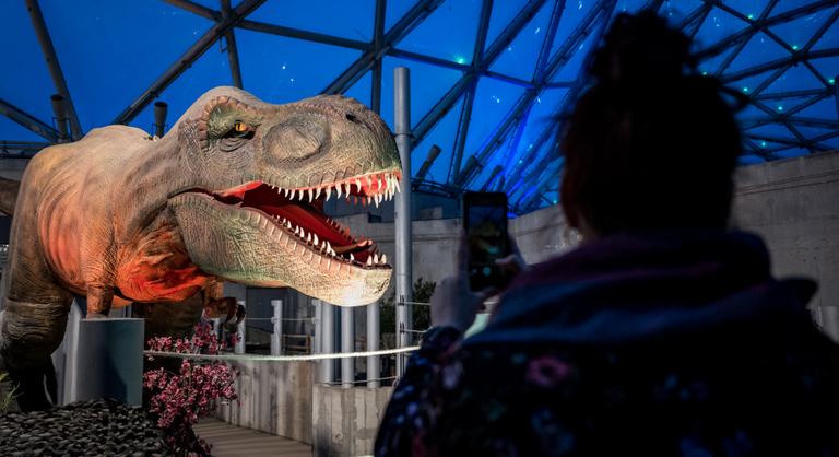 Épp csak beléptünk az ajtón, és egy T-Rex üvöltött az arcunkba