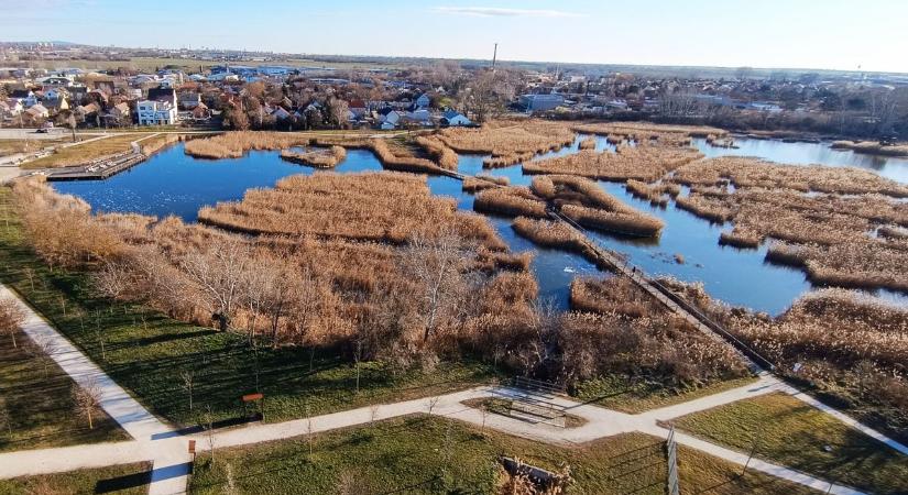 Bögre túrát tartottak, megismerve több értékes gyógynövényt (videó)