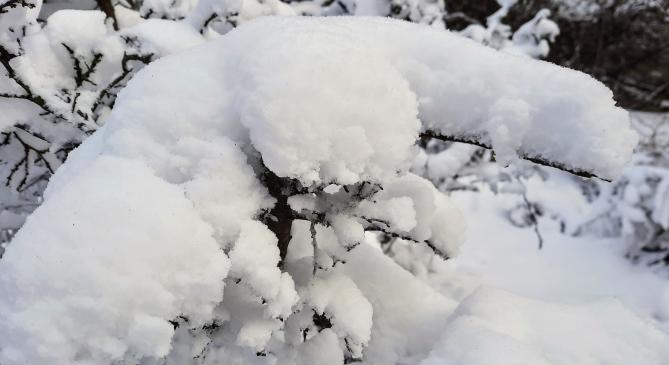 Újra a hó birodalma lett a Mecsek