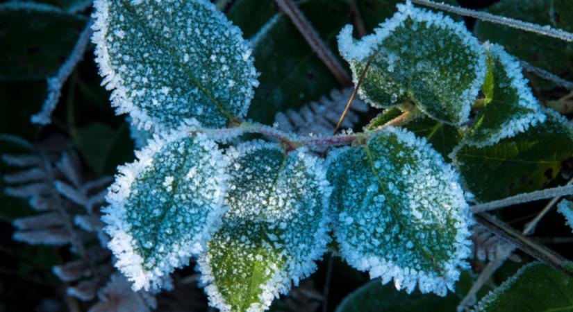 A jövő hét elején akár mínusz 15 Celsius-fok alá is hűlhet a levegő