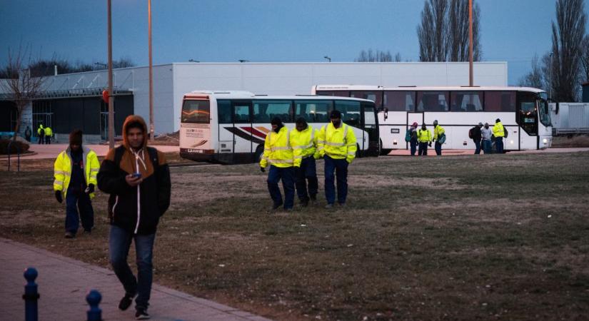 „Sok rizst vesznek és mindig mosolyognak” – megnéztük, miért fékezett be a munkaerő-kölcsönzés