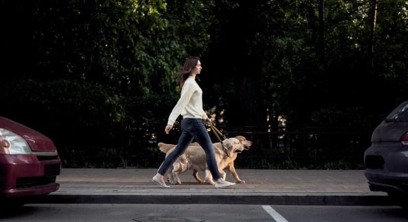 Kutyások, figyelem! Súlyos büntetést kaphat, aki ezt nem tartja be