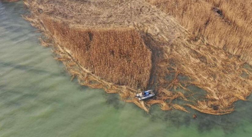 Nádaratás a jégmentes Balatonról?