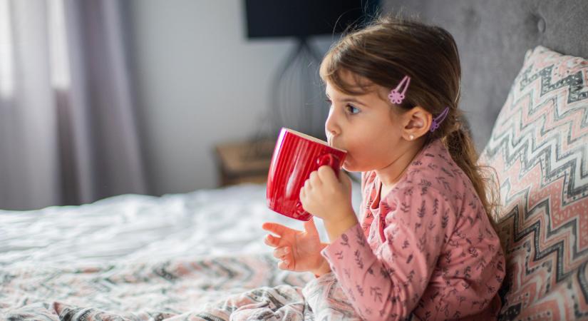 Lándzsásútifű-tea köhögésre: adható gyerekeknek?