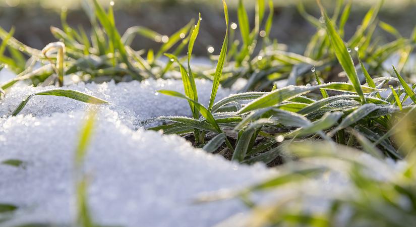 Nem tágít a sarkvidéki hideg, maradnak a kemény fagyok