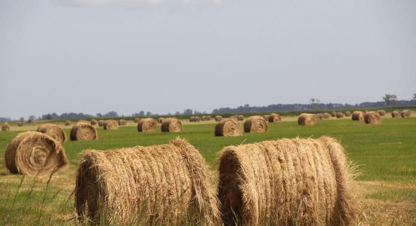 Kamarai kisokos segíti a gazdaságátadásban érintett termelőket