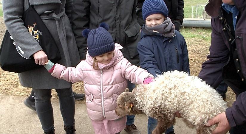 Hétvégén kitárják a hortobágyi istállók és hodályok kapuit a látogatók előtt