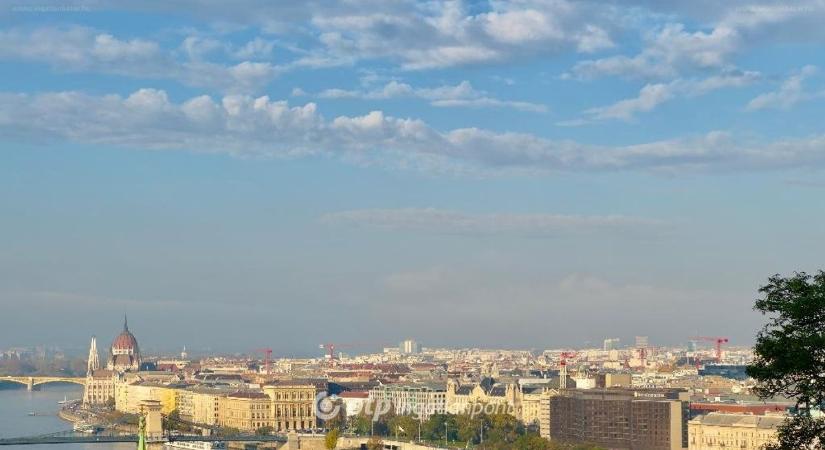 Fehér holló szállt le a Citadella árnyékában