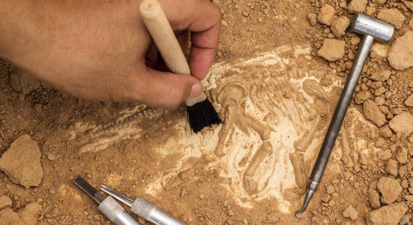 Bizarr külsejű ősi lény maradványaira bukkantak Nagy-Britanniában