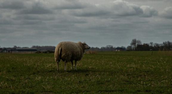 Átmenetileg több felhő lesz felettünk